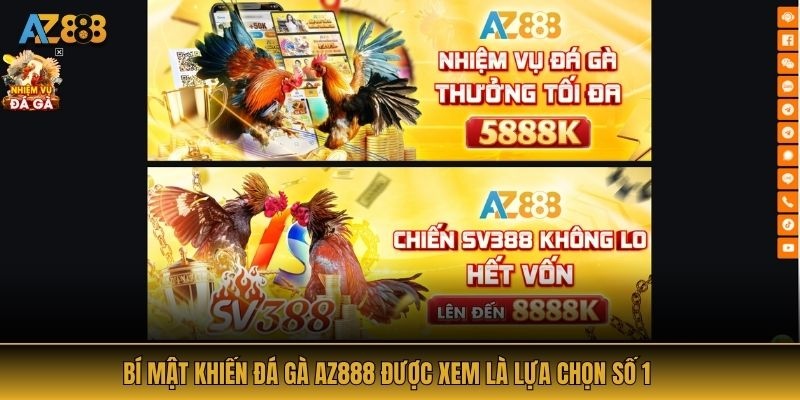 Bí mật khiến đá gà AZ888 được xem là lựa chọn số 1