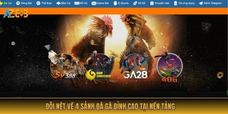 Đôi nét về 4 sảnh đá gà đỉnh cao tại nền tảng