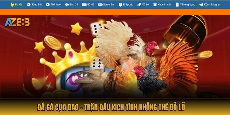 Đá gà cựa dao - Trận đấu kịch tính không thể bỏ lỡ