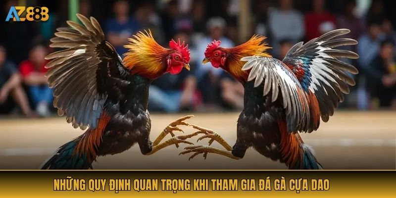 Những quy định quan trọng khi tham gia đá gà cựa dao
