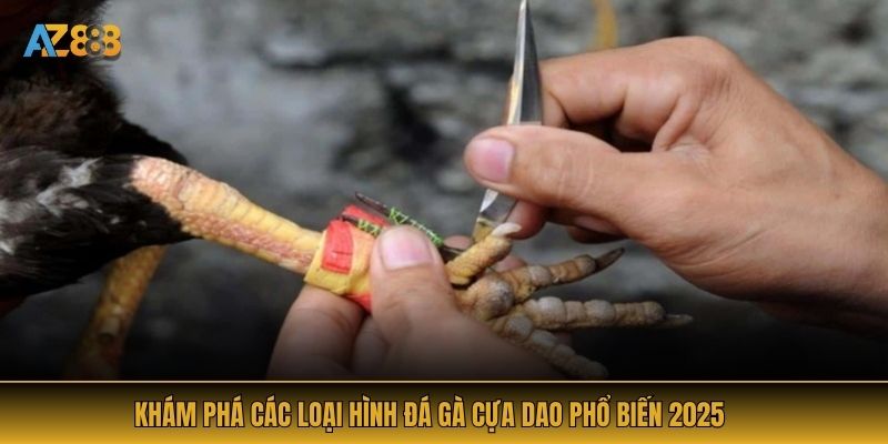 Khám phá các loại hình đá gà cựa dao phổ biến 2025