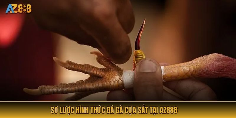 Sơ lược hình thức đá gà cựa sắt tại AZ888