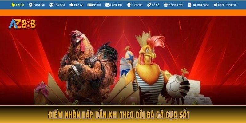 Điểm nhấn hấp dẫn khi theo dõi đá gà cựa sắt