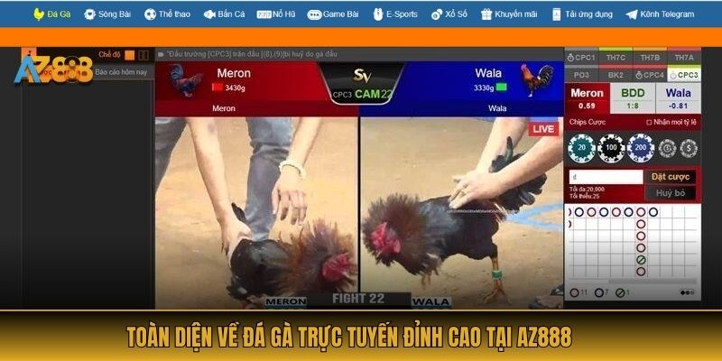 Toàn diện về Đá gà online đỉnh cao tại AZ888