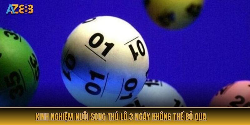 Kinh nghiệm nuôi Song Thủ Lô 3 ngày không thể bỏ qua